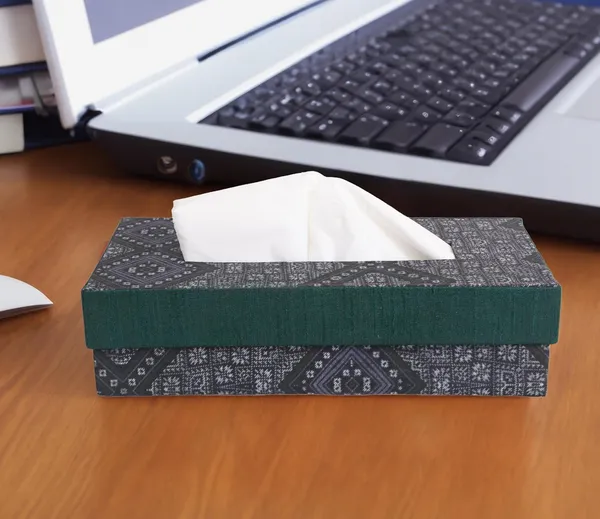 Indha_Tissue_Box_|_Handcrafted_Tissue_Box_Black_&_Grey_|_Black_and_Green_Dupion_Silk_Tissue_Box_|_Mild_Grey_Ethnic_Geometric_Pattern_Design_Digitally_Printed