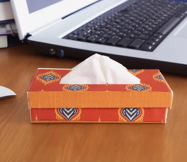 Indha_Tissue_Box_|_Handcrafted_Tissue_Box_Orange_|_Red_and_Orange_Dupion_Silk_Tissue_Box_|_Blue_and_Yellow_Flame_Design_Motif_Digitally_Printed