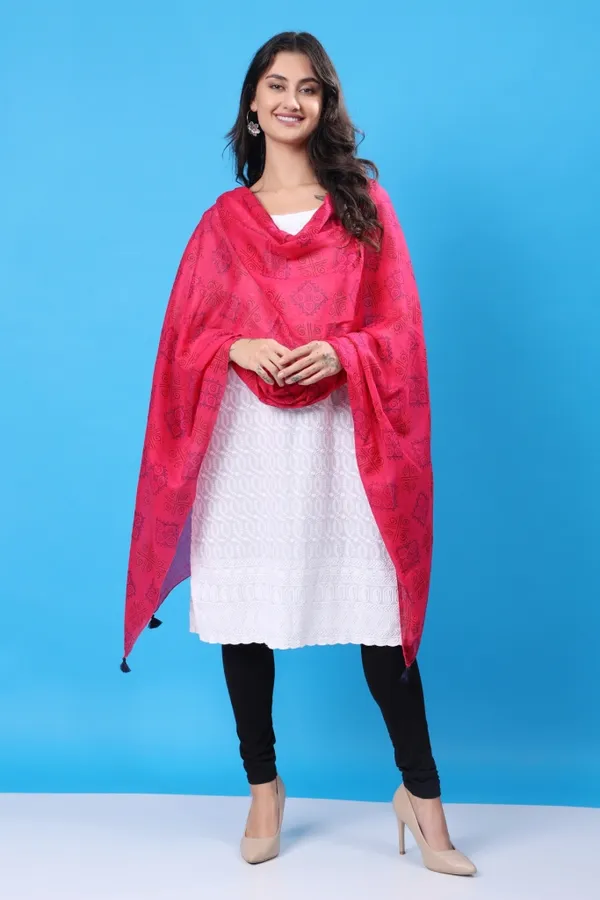 INDHA_Stole_|_Pink_Voil_Cotton_Stole_|_Hand_Block_Printed_Blue_&_Red_Gemetric_Pattern_|_Hand_Block_Printed_Stole_|_Stoles_for_Women_|_Ethnic_Stoles_|_Gifting_|_Fashion_Wear_|_Indo_Western_Stole_|_Fashion_Accessory_|_Light_Weight_Voil_Fabric