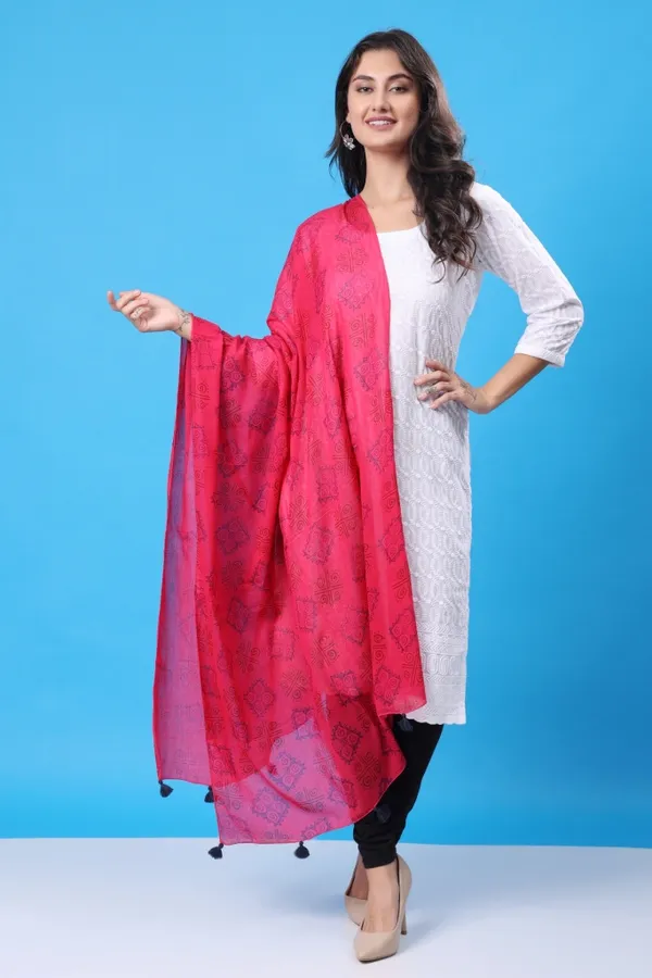 INDHA_Stole_|_Pink_Voil_Cotton_Stole_|_Hand_Block_Printed_Blue_&_Red_Gemetric_Pattern_|_Hand_Block_Printed_Stole_|_Stoles_for_Women_|_Ethnic_Stoles_|_Gifting_|_Fashion_Wear_|_Indo_Western_Stole_|_Fashion_Accessory_|_Light_Weight_Voil_Fabric