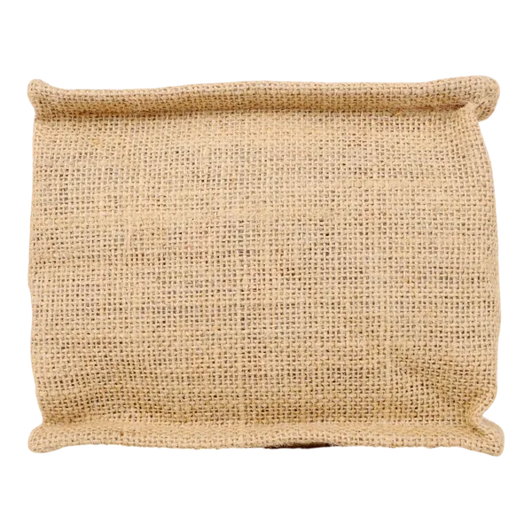 Indha_Artisan_Jute_Twin_Bottle_Holder_with_Peacock_Embroidery_|_Stylish_Handmade_Gift_Tote