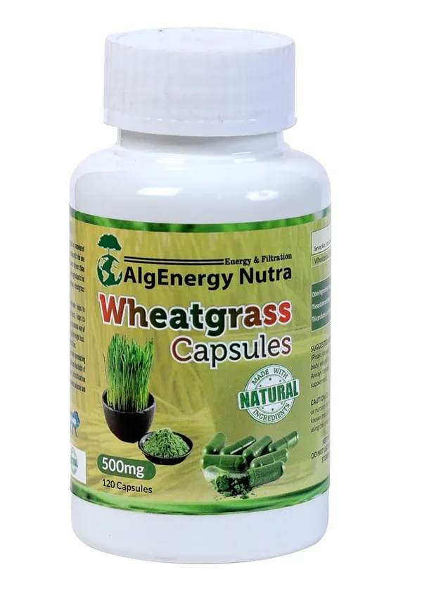 Wheatgrass_Capsules_500Mg_–_120_Veg_Capsules_|_Natural_Detox_&_Immunity_Booster