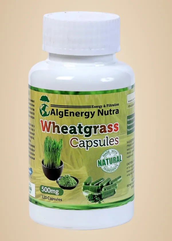 Wheatgrass_Capsules_500Mg_–_120_Veg_Capsules_|_Natural_Detox_&_Immunity_Booster