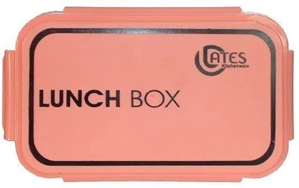 Sky_Blue_Plastic_Food_Grade_Plastic_Lunch_Box_Set_(1200_Ml)