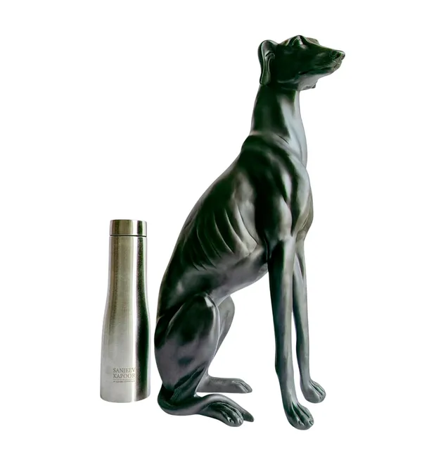 Large_Black_Dog