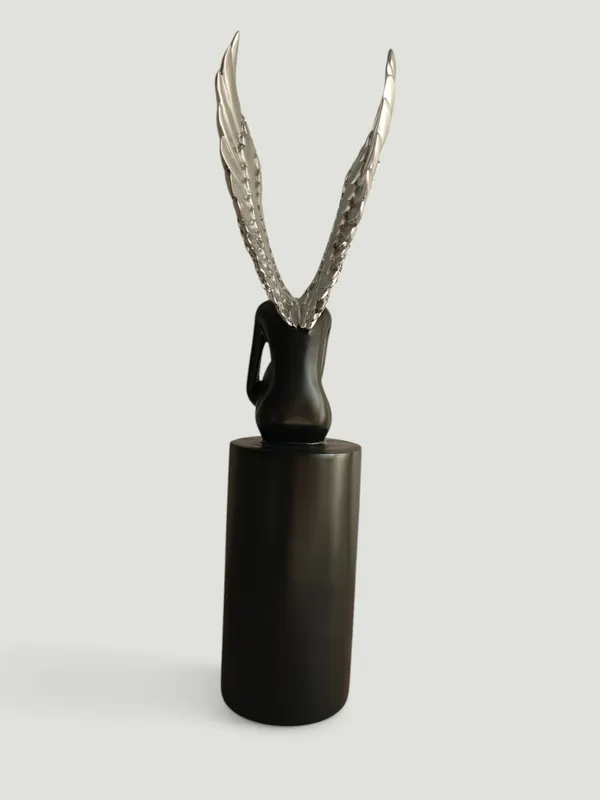 Black_&_Silver_Lady_with_Wings