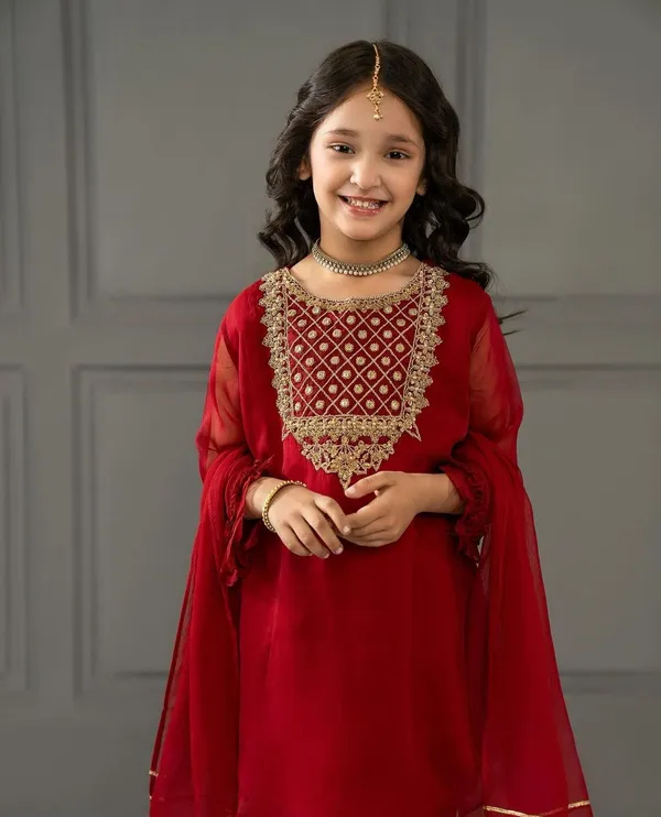 Maroon_New_Designer_Heavy_Faux_Georgette_Embroidery_Work_Top_And_Bottom_For_Girls