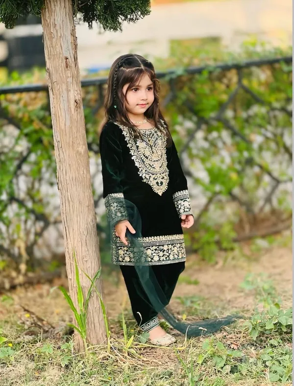 Heavy_Viscose_Velvet_With_Heavy_Embroidery_Sequence_Work_With_Full_Sleeves