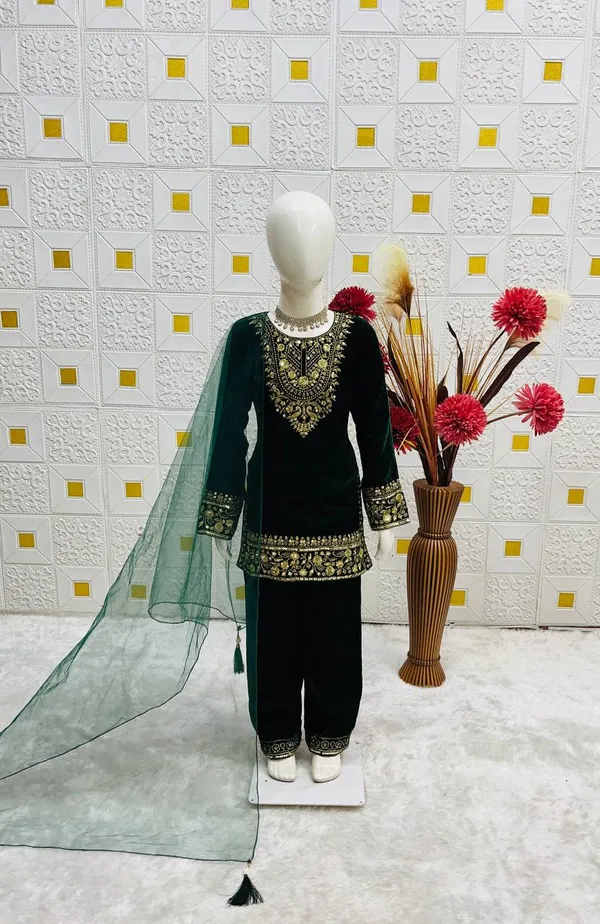 Heavy_Viscose_Velvet_With_Heavy_Embroidery_Sequence_Work_With_Full_Sleeves