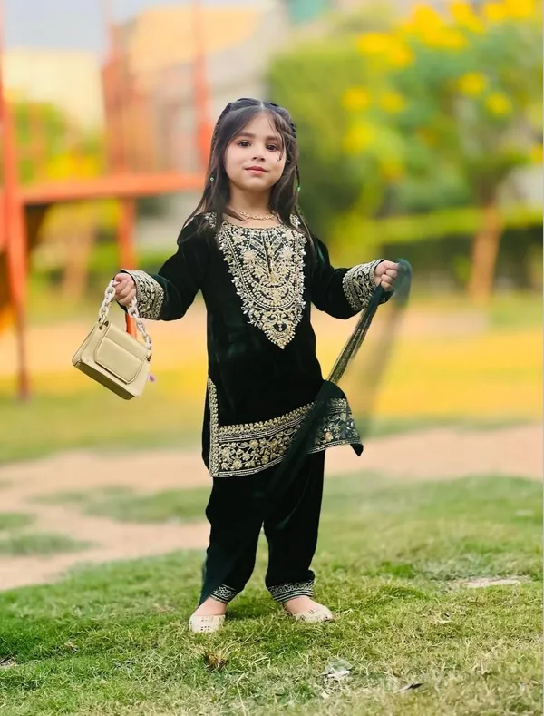 Heavy_Viscose_Velvet_With_Heavy_Embroidery_Sequence_Work_With_Full_Sleeves