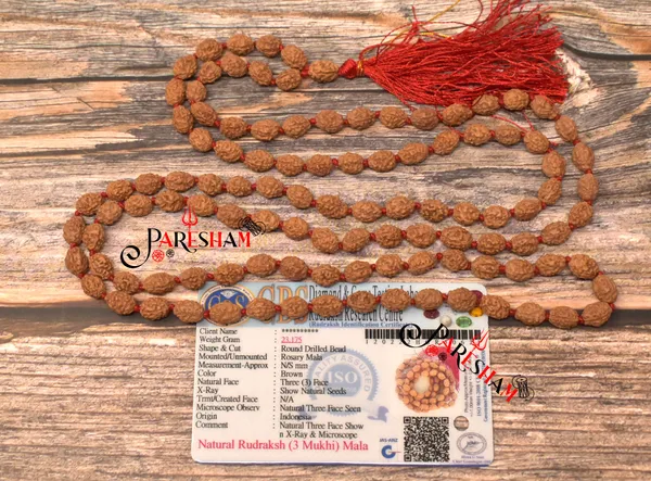 3_Mukhi_RUdraksha_Mala_/_Three_Face_Rudraksh_Rosary_Java_Lab_Certified