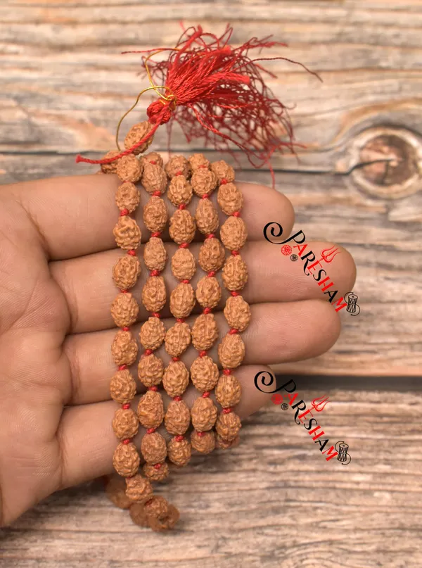 3_Mukhi_RUdraksha_Mala_/_Three_Face_Rudraksh_Rosary_Java_Lab_Certified