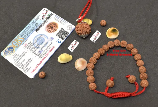 Brown_10_Mukhi_Rudraksha_/_Ten_Face_Rudraksh_Nepal_Bead_Lab_Certified