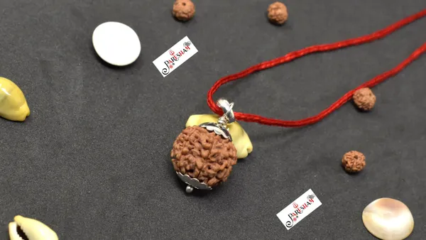 Brown_8_Mukhi_Rudraksha_Eight_Face_Rudraksh_Nepal_Bead_Lab_Certified