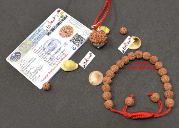 Brown_8_Mukhi_Rudraksha_Eight_Face_Rudraksh_Nepal_Bead_Lab_Certified