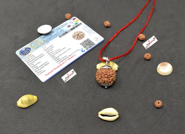 Brown_7_Mukhi_Rudraksha_/_Seven_Face_Rudraksh_Nepal_Bead_100_%_Original_Lab_Certified_+_5_Mukhi_Rudraksha_Bracelet