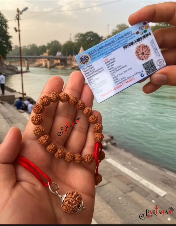 Brown_7_Mukhi_Rudraksha_/_Seven_Face_Rudraksh_Nepal_Bead_100_%_Original_Lab_Certified_+_5_Mukhi_Rudraksha_Bracelet