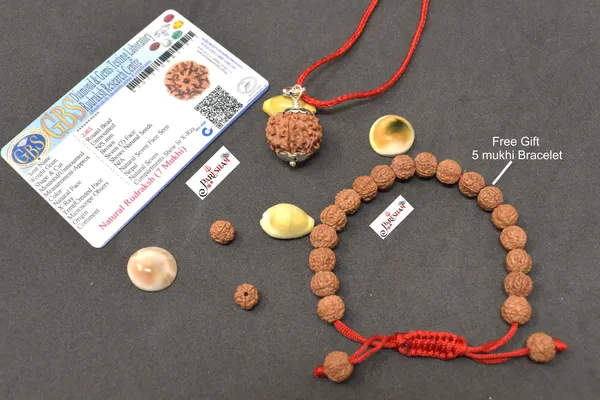 Brown_7_Mukhi_Rudraksha_/_Seven_Face_Rudraksh_Nepal_Bead_100_%_Original_Lab_Certified_+_5_Mukhi_Rudraksha_Bracelet