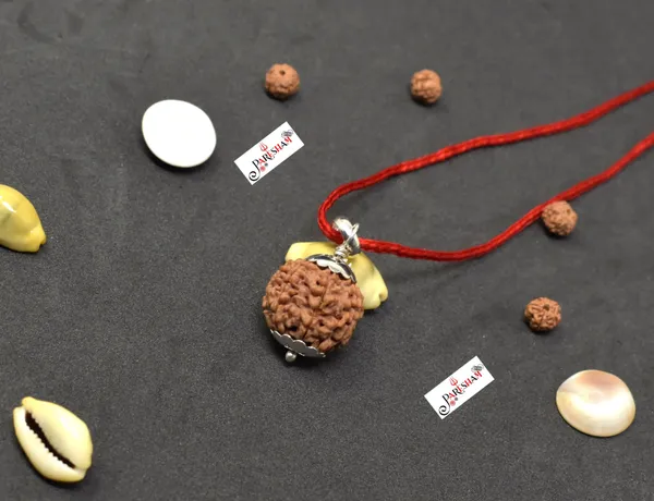 Brown_7_Mukhi_Rudraksha_/_Seven_Face_Rudraksh_Nepal_Bead_100_%_Original_Lab_Certified_+_5_Mukhi_Rudraksha_Bracelet
