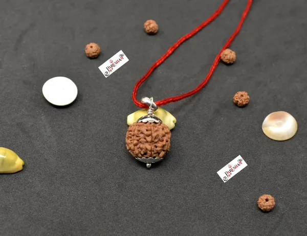 Brown_7_Mukhi_Rudraksha_/_Seven_Face_Rudraksh_Nepal_Bead_100_%_Original_Lab_Certified_+_5_Mukhi_Rudraksha_Bracelet