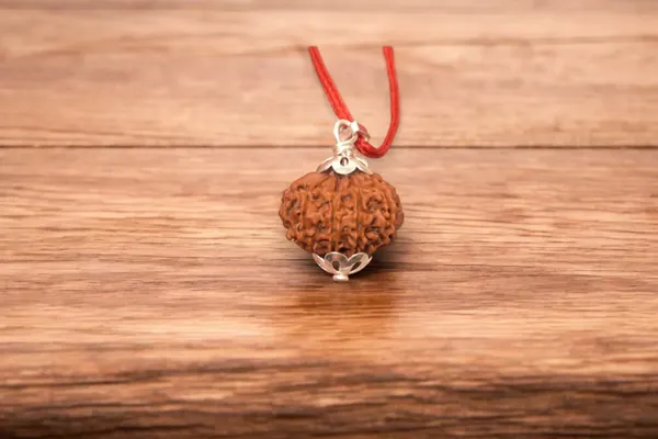 Brown_Paresham_12_Mukhi_Rudraksha_/_Twelve_Face_Rudraksh_Nepal_Bead_Lab_Certified_21_-_23___Mm