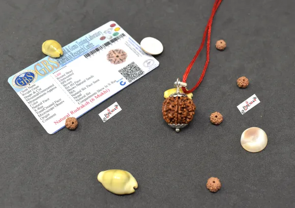 Brown_6_Mukhi_Rudraksha_/_Six_Face_Rudraksh_Nepal_Bead_100_%_Original_Lab_Certified