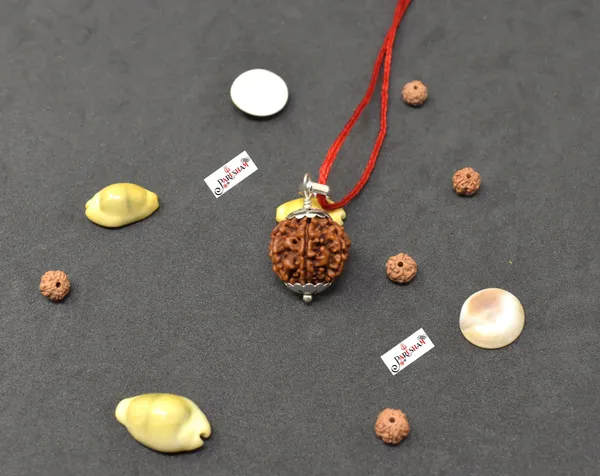 Brown_6_Mukhi_Rudraksha_/_Six_Face_Rudraksh_Nepal_Bead_100_%_Original_Lab_Certified