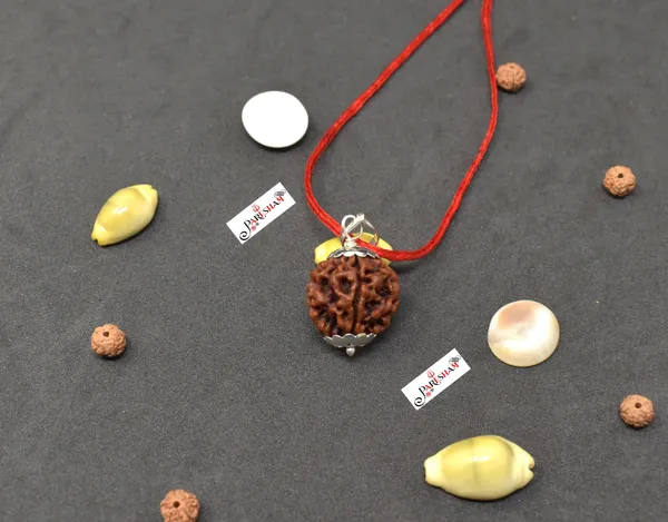 Brown_5_Mukhi_Rudraksha_/_Five_Face_Rudraksh_Nepal_Bead_100_%_Original_Lab_Certified