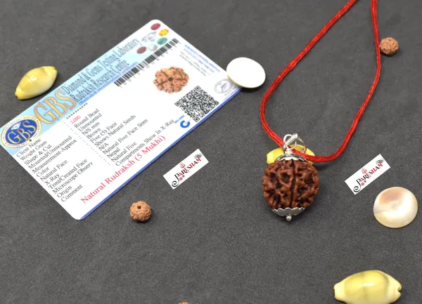 Brown_5_Mukhi_Rudraksha_/_Five_Face_Rudraksh_Nepal_Bead_100_%_Original_Lab_Certified