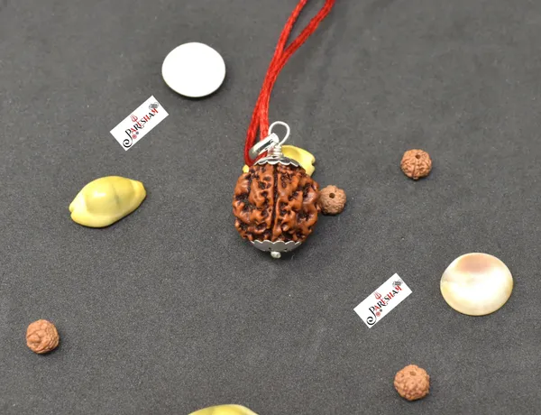 Brown_7_Mukhi_Rudraksha_/_Seven_Face_Rudraksh_Nepal_Bead_Gold_Plated_100_%_Original_Lab_Certified
