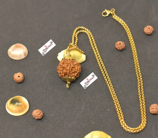 Brown_7_Mukhi_Rudraksha_/_Seven_Face_Rudraksh_Nepal_Bead_Gold_Plated_100_%_Original_Lab_Certified