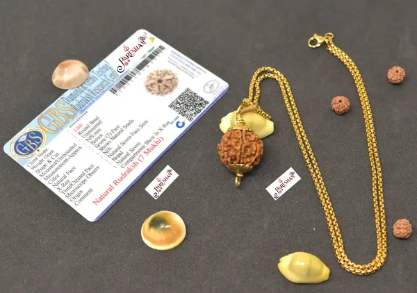 Brown_7_Mukhi_Rudraksha_/_Seven_Face_Rudraksh_Nepal_Bead_Gold_Plated_100_%_Original_Lab_Certified