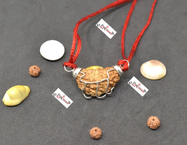 Brown_1_Mukhi_Rudraksha_Indian_/_Ek_Mukhi_Rudraksh_/_One_Face_Rudraksha_Original_Top_Quality