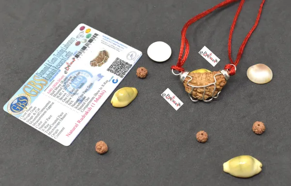 Brown_1_Mukhi_Rudraksha_Indian_/_Ek_Mukhi_Rudraksh_/_One_Face_Rudraksha_Original_Top_Quality