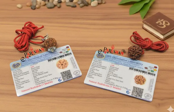 Brown_7_Mukhi_Rudraksha_/_Seven_Face_Rudraksh_Nepal_Bead_100_%_Original_Lab_Certified_+_5_Mukhi_Rudraksha