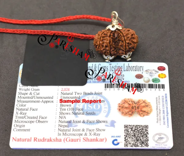 Brown_Gauri_Shankar_/_Gouri_Sankar_Rudraksha_Nepal_Bead_100%_Original_Lab_Certified
