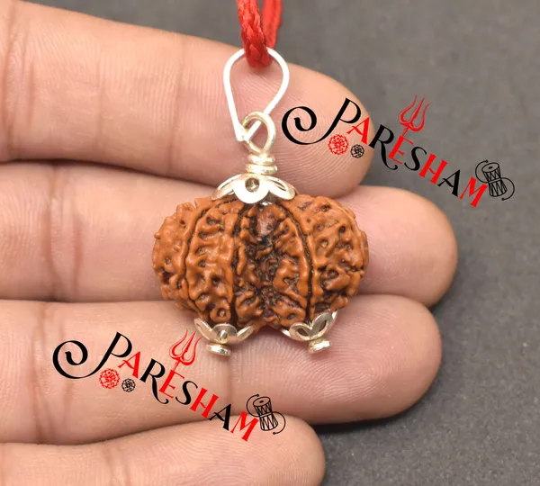 Brown_Gauri_Shankar_/_Gouri_Sankar_Rudraksha_Nepal_Bead_100%_Original_Lab_Certified