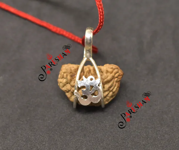 Brown_1_Mukhi_Rudraksha_Indian_/_Ek_Mukhi_Rudraksh_/_One_Face_Rudraksha_Original_Top_Quality_Om_Design