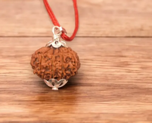 Brown_11_Mukhi_Rudraksha_/_Eleven_Face_Rudraksh_Nepal_Bead_Lab_Certified_21-23_Mm
