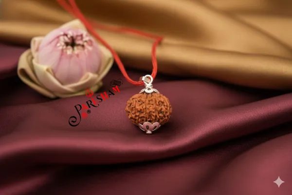 Brown_11_Mukhi_Rudraksha_/_Eleven_Face_Rudraksh_Nepal_Bead_Lab_Certified_21-23_Mm