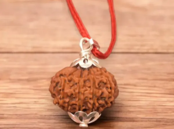 Brown_9_Mukhi_Rudraksha_/_Nine_Face_Rudraksh_Nepal_Bead_Lab_Certified_21-23_Mm