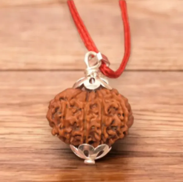 Brown_Paresham_12_Mukhi_Rudraksha_/_Twelve_Face_Rudraksh_Nepal_Bead_Lab_Certified_21_-_23___Mm