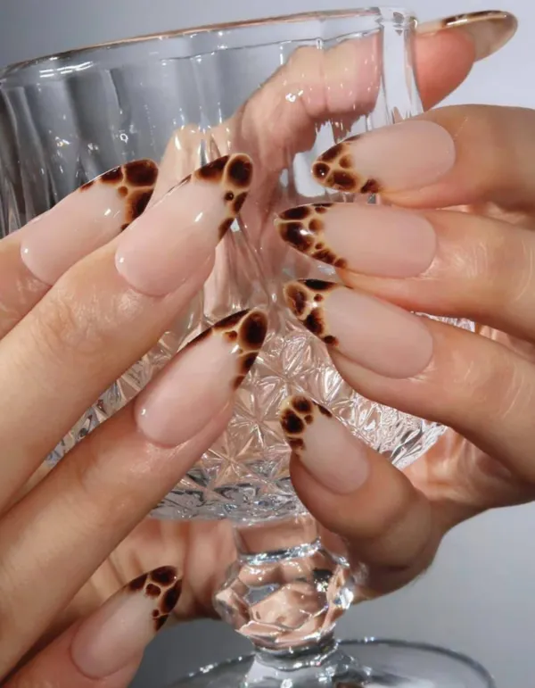 Leopard_Freanch