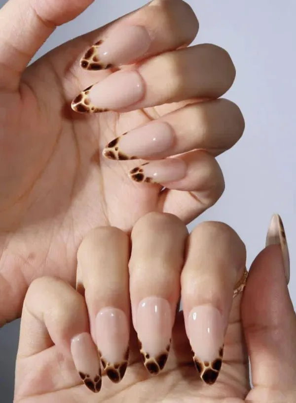 Leopard_Freanch