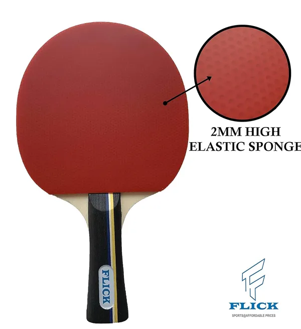 Ttps_01P_Plastic,_Rubber_Platinum_Plus_Table_Tennis_Play_Set_Premium_All_In_One_Kit_1_Racket,_1_Racket_Cover_And_2_Table_Tennis_Balls_In_A_Blister