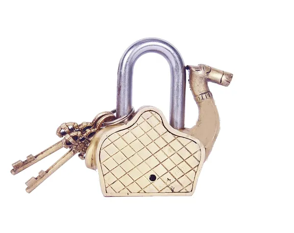 Brass_Camel_Door_Lock_Decor_And_Home_Decorative