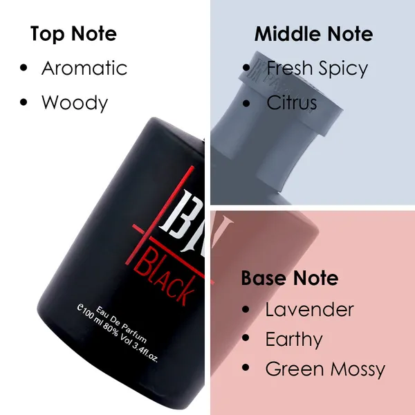 BN_Black_Long_Lasting_Perfume_|_Aromatic_Fresh_Spicy_&_Earthy,_Soothing_Fragrance_For_Men_(100_Ml)
