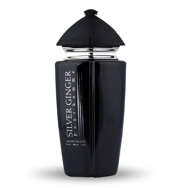 Silver_Ginger_Long_Lasting_Perfume_|_Aquatic,_Fresh_&_Woody,_Soothing_Fragrance_For_Men_(100_Ml)