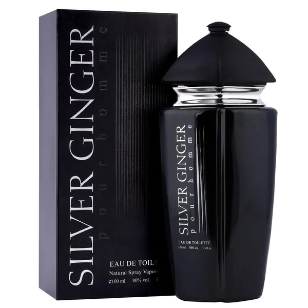 BN_Parfums_Silver_Ginger_Long_Lasting_100ml_Men_Perfume,_Aquatic,_Fresh_&_Woody,_Soothing_Fragrance