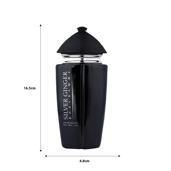 BN_Parfums_Silver_Ginger_Long_Lasting_100ml_Men_Perfume,_Aquatic,_Fresh_&_Woody,_Soothing_Fragrance